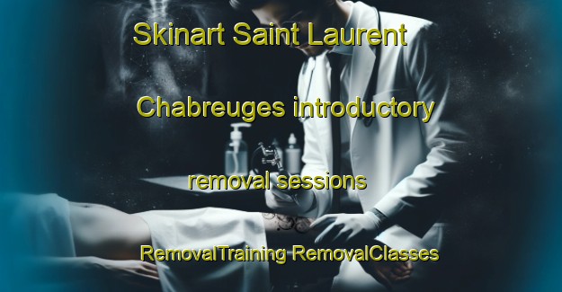 Skinart Saint Laurent Chabreuges introductory removal sessions | #RemovalTraining #RemovalClasses #SkinartTraining-France