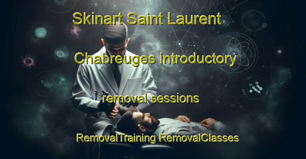 Skinart Saint Laurent Chabreuges introductory removal sessions | #RemovalTraining #RemovalClasses #SkinartTraining-France