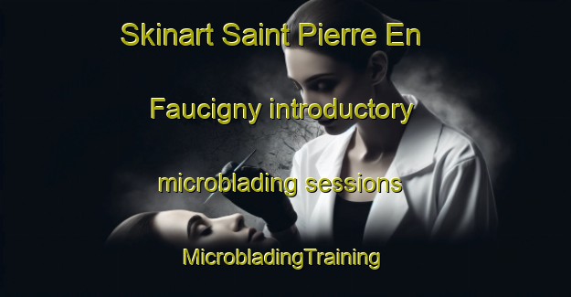 Skinart Saint Pierre En Faucigny introductory microblading sessions | #MicrobladingTraining #MicrobladingClasses #SkinartTraining-France