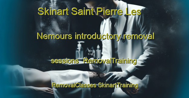 Skinart Saint Pierre Les Nemours introductory removal sessions | #RemovalTraining #RemovalClasses #SkinartTraining-France