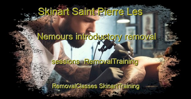 Skinart Saint Pierre Les Nemours introductory removal sessions | #RemovalTraining #RemovalClasses #SkinartTraining-France