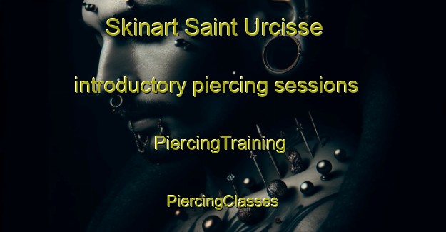 Skinart Saint Urcisse introductory piercing sessions | #PiercingTraining #PiercingClasses #SkinartTraining-France