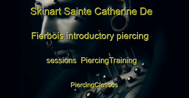 Skinart Sainte Catherine De Fierbois introductory piercing sessions | #PiercingTraining #PiercingClasses #SkinartTraining-France