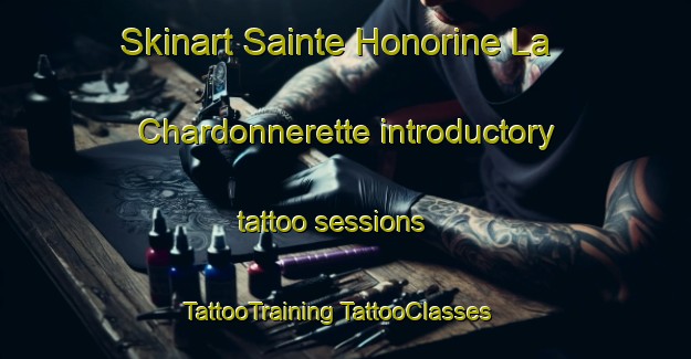 Skinart Sainte Honorine La Chardonnerette introductory tattoo sessions | #TattooTraining #TattooClasses #SkinartTraining-France