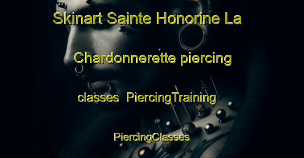 Skinart Sainte Honorine La Chardonnerette piercing classes | #PiercingTraining #PiercingClasses #SkinartTraining-France