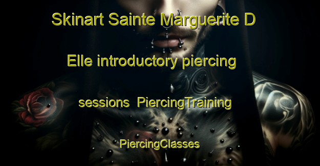 Skinart Sainte Marguerite D Elle introductory piercing sessions | #PiercingTraining #PiercingClasses #SkinartTraining-France