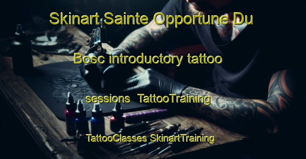 Skinart Sainte Opportune Du Bosc introductory tattoo sessions | #TattooTraining #TattooClasses #SkinartTraining-France