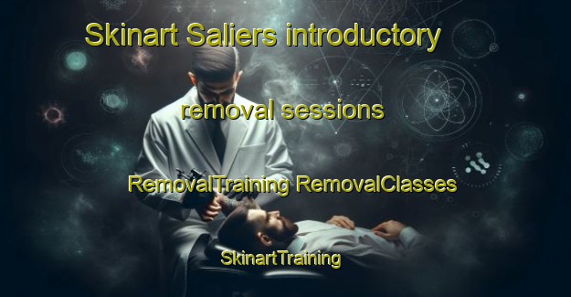 Skinart Saliers introductory removal sessions | #RemovalTraining #RemovalClasses #SkinartTraining-France