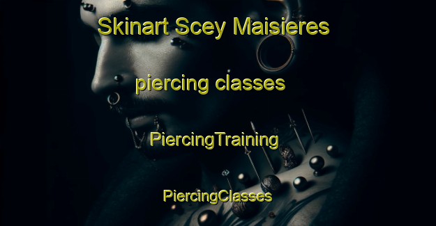 Skinart Scey Maisieres piercing classes | #PiercingTraining #PiercingClasses #SkinartTraining-France