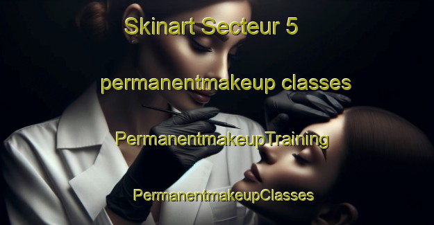 Skinart Secteur 5 permanentmakeup classes | PermanentmakeupTraining | PermanentmakeupClasses | SkinartTraining-France