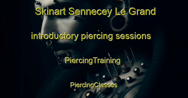 Skinart Sennecey Le Grand introductory piercing sessions | #PiercingTraining #PiercingClasses #SkinartTraining-France