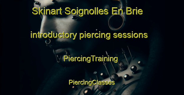 Skinart Soignolles En Brie introductory piercing sessions | #PiercingTraining #PiercingClasses #SkinartTraining-France