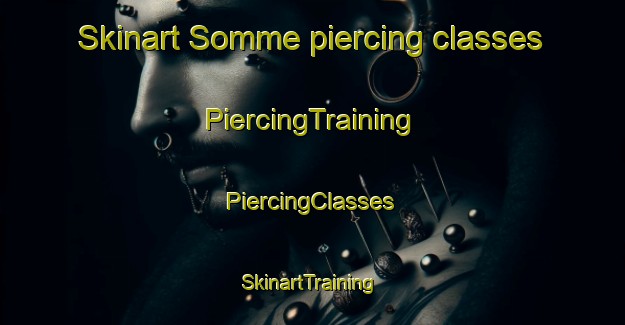 Skinart Somme piercing classes | #PiercingTraining #PiercingClasses #SkinartTraining-France