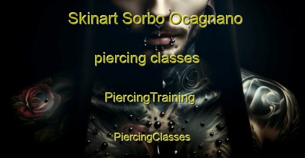 Skinart Sorbo Ocagnano piercing classes | #PiercingTraining #PiercingClasses #SkinartTraining-France