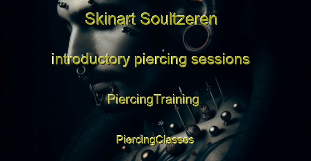 Skinart Soultzeren introductory piercing sessions | #PiercingTraining #PiercingClasses #SkinartTraining-France