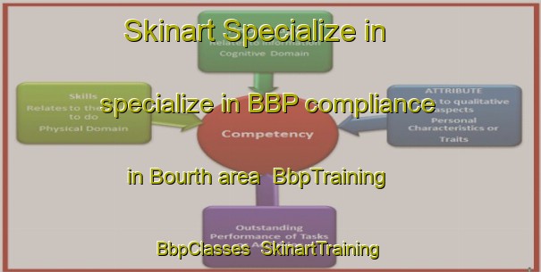 Skinart Specialize in specialize in BBP compliance in Bourth area | BbpTraining | BbpClasses | SkinartTraining-France