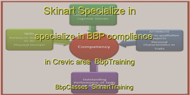 Skinart Specialize in specialize in BBP compliance in Crevic area | BbpTraining | BbpClasses | SkinartTraining-France