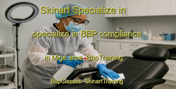 Skinart Specialize in specialize in BBP compliance in Mige area | BbpTraining | BbpClasses | SkinartTraining-France