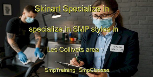 Skinart Specialize in specialize in SMP styles in Les Collivets area | SmpTraining | SmpClasses | SkinartTraining-France