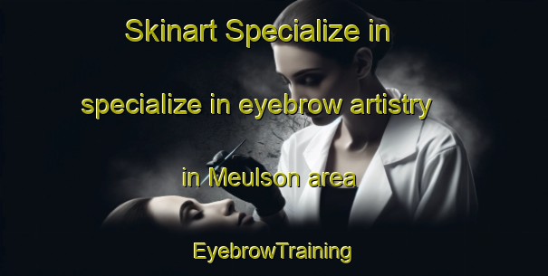 Skinart Specialize in specialize in eyebrow artistry in Meulson area | EyebrowTraining | EyebrowClasses | SkinartTraining-France