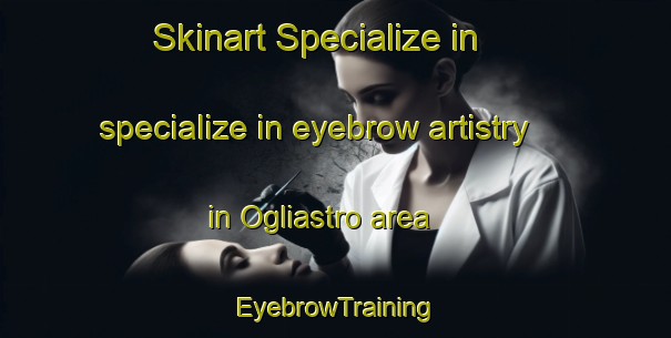 Skinart Specialize in specialize in eyebrow artistry in Ogliastro area | EyebrowTraining | EyebrowClasses | SkinartTraining-France
