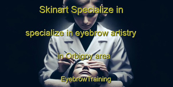 Skinart Specialize in specialize in eyebrow artistry in Orbigny area | EyebrowTraining | EyebrowClasses | SkinartTraining-France