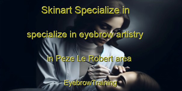 Skinart Specialize in specialize in eyebrow artistry in Peze Le Robert area | EyebrowTraining | EyebrowClasses | SkinartTraining-France