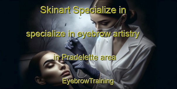 Skinart Specialize in specialize in eyebrow artistry in Pradelette area | EyebrowTraining | EyebrowClasses | SkinartTraining-France