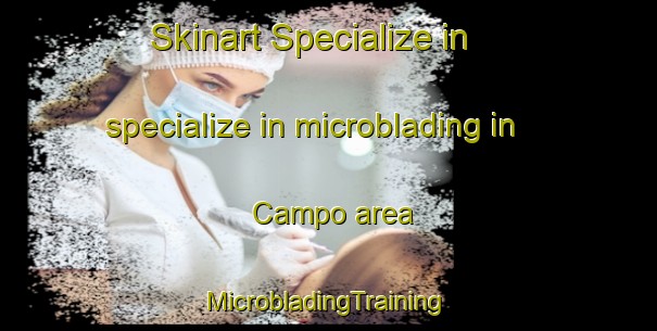 Skinart Specialize in specialize in microblading in Campo area | #MicrobladingTraining #MicrobladingClasses #SkinartTraining-France