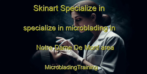 Skinart Specialize in specialize in microblading in Notre Dame De Mont area | MicrobladingTraining | MicrobladingClasses | SkinartTraining-France