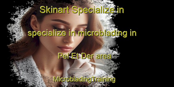 Skinart Specialize in specialize in microblading in Pel Et Der area | MicrobladingTraining | MicrobladingClasses | SkinartTraining-France