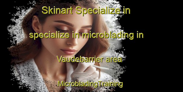 Skinart Specialize in specialize in microblading in Vaudebarrier area | #MicrobladingTraining #MicrobladingClasses #SkinartTraining-France