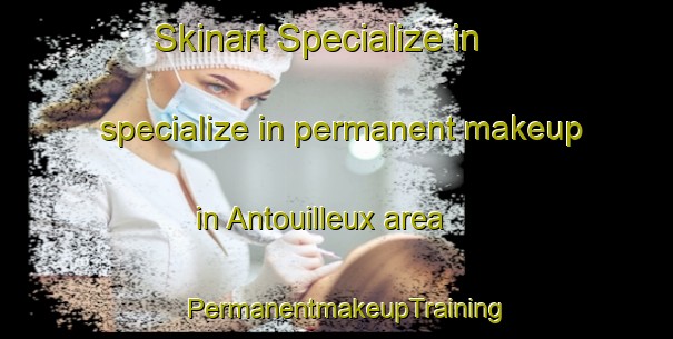 Skinart Specialize in specialize in permanent makeup in Antouilleux area | PermanentmakeupTraining | PermanentmakeupClasses | SkinartTraining-France