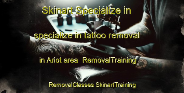 Skinart Specialize in specialize in tattoo removal in Ariot area | #RemovalTraining #RemovalClasses #SkinartTraining-France