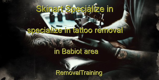 Skinart Specialize in specialize in tattoo removal in Babiot area | RemovalTraining | RemovalClasses | SkinartTraining-France