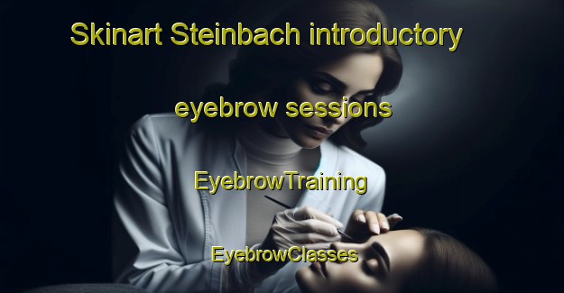 Skinart Steinbach introductory eyebrow sessions | EyebrowTraining | EyebrowClasses | SkinartTraining-France