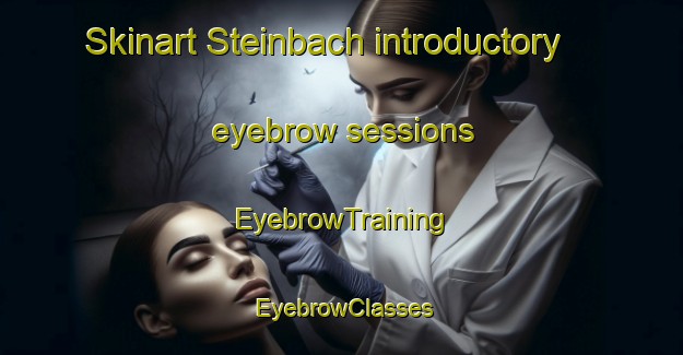 Skinart Steinbach introductory eyebrow sessions | EyebrowTraining | EyebrowClasses | SkinartTraining-France