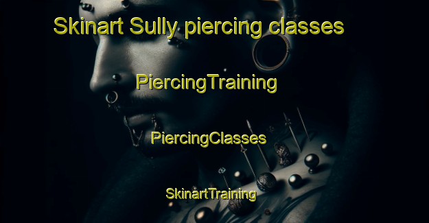 Skinart Sully piercing classes | PiercingTraining | PiercingClasses | SkinartTraining-France