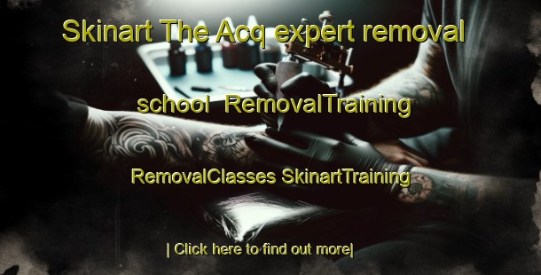 Skinart The Acq expert removal school | #RemovalTraining #RemovalClasses #SkinartTraining-France