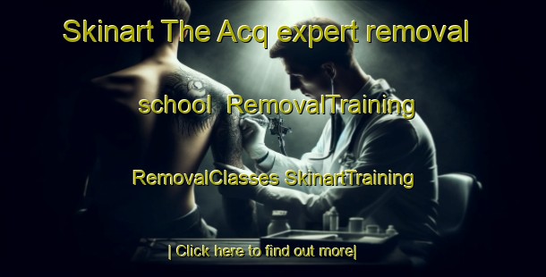 Skinart The Acq expert removal school | #RemovalTraining #RemovalClasses #SkinartTraining-France