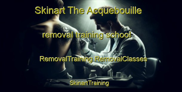 Skinart The Acquebouille removal training school | #RemovalTraining #RemovalClasses #SkinartTraining-France