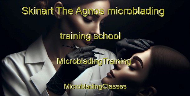 Skinart The Agnos microblading training school | #MicrobladingTraining #MicrobladingClasses #SkinartTraining-France