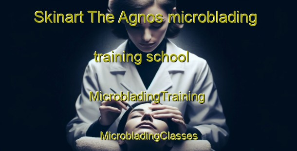 Skinart The Agnos microblading training school | #MicrobladingTraining #MicrobladingClasses #SkinartTraining-France