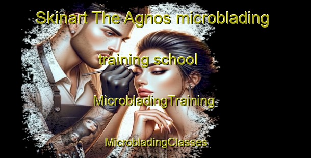 Skinart The Agnos microblading training school | #MicrobladingTraining #MicrobladingClasses #SkinartTraining-France