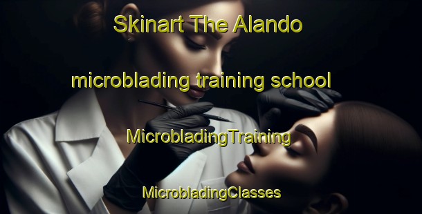 Skinart The Alando microblading training school | #MicrobladingTraining #MicrobladingClasses #SkinartTraining-France