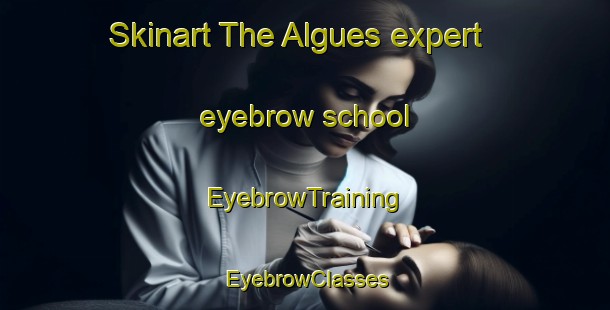 Skinart The Algues expert eyebrow school | EyebrowTraining | EyebrowClasses | SkinartTraining-France