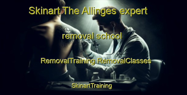 Skinart The Allinges expert removal school | #RemovalTraining #RemovalClasses #SkinartTraining-France