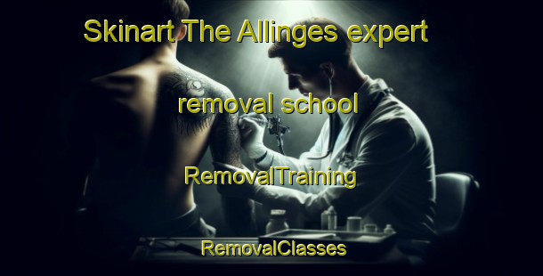 Skinart The Allinges expert removal school | RemovalTraining | RemovalClasses | SkinartTraining-France