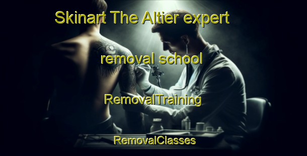 Skinart The Altier expert removal school | RemovalTraining | RemovalClasses | SkinartTraining-France