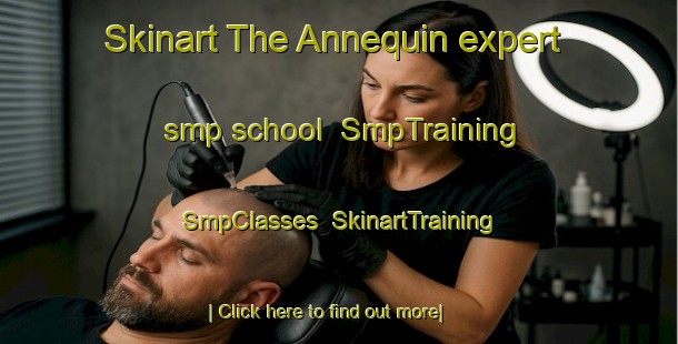 Skinart The Annequin expert smp school | SmpTraining | SmpClasses | SkinartTraining-France
